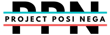 PROIECT POSINEGA S.R.L.
